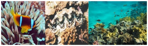 [Fig. 3]