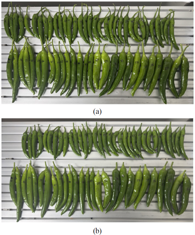 [Fig. 9]
