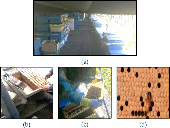 [Fig. 1]