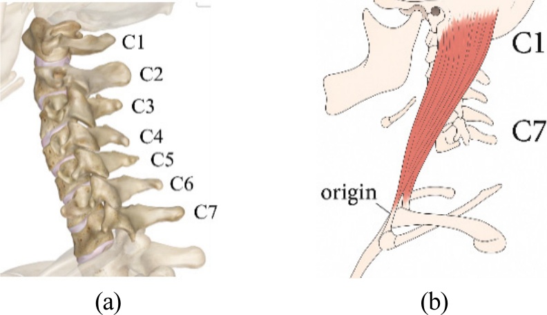 [Fig. 1]