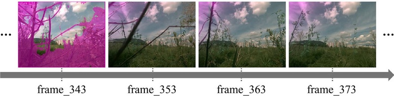 [Fig. 7]
